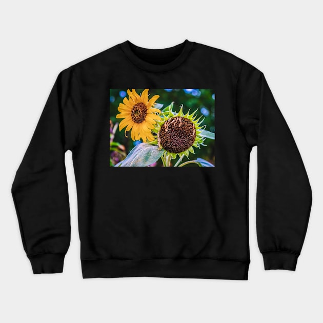 Sunflower Sister Photograph Crewneck Sweatshirt by love-fi